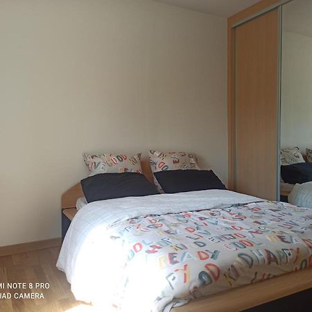 Bischheim Super Appartement Avec Terasse المظهر الخارجي الصورة