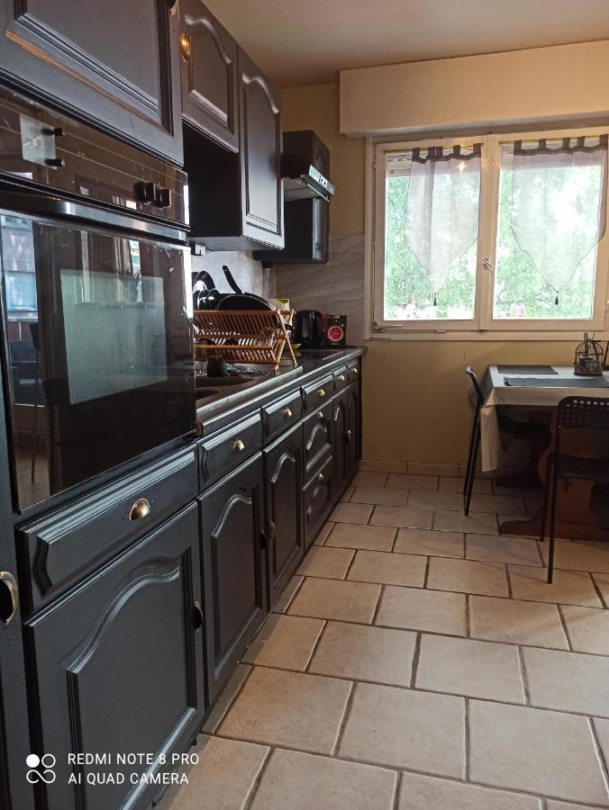 Bischheim Super Appartement Avec Terasse المظهر الخارجي الصورة