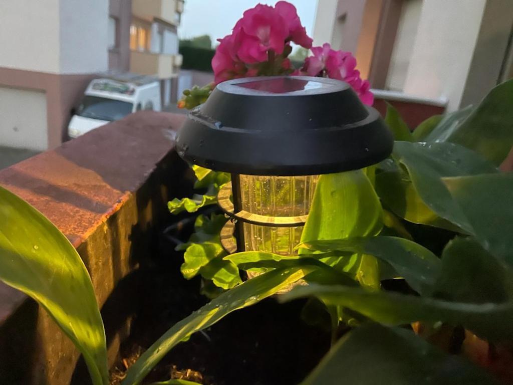 Bischheim Super Appartement Avec Terasse المظهر الخارجي الصورة