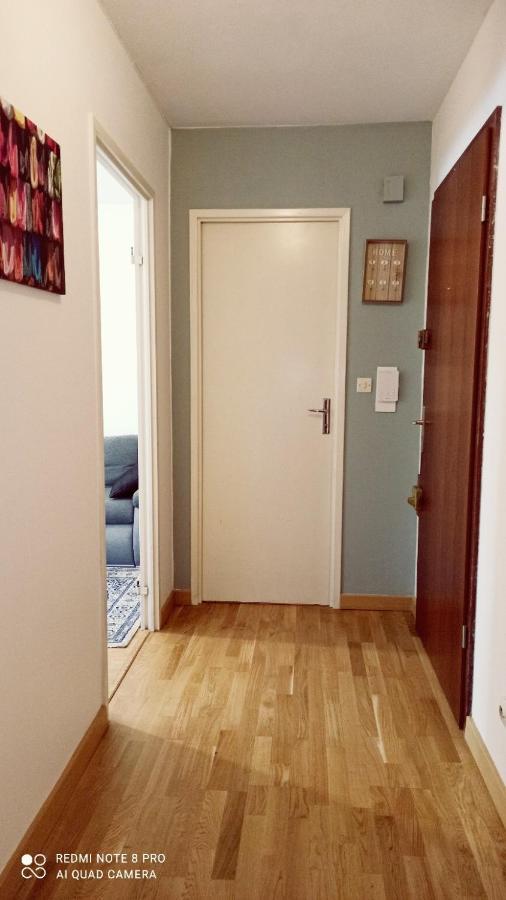 Bischheim Super Appartement Avec Terasse المظهر الخارجي الصورة